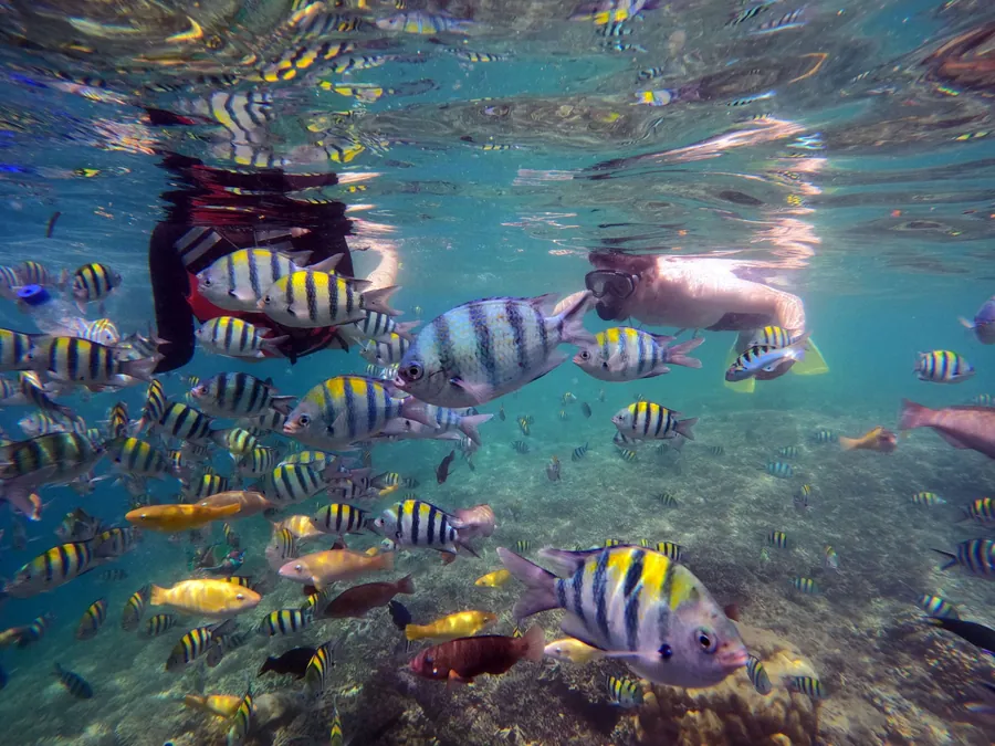 Gili Islands Explore